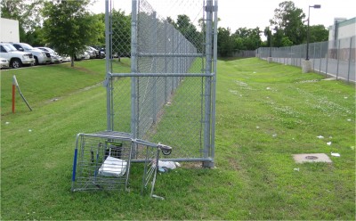 conservation-shopping-cart