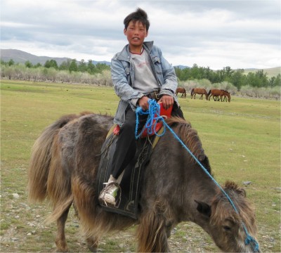 Almost all animals are used for anything practical---Mongolians eat them, make clothing from them, use them as transportation.
