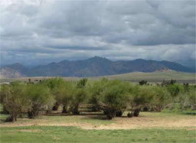 Overcast skies
