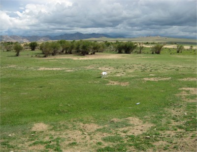 Mongolia has some of the most beautiful land I've seen, much of it free from the fences and powerlines seen in other nations' countrysides. Unfortunately, Mongolia has a small littering problem. Note the plastic bottle in the picture.