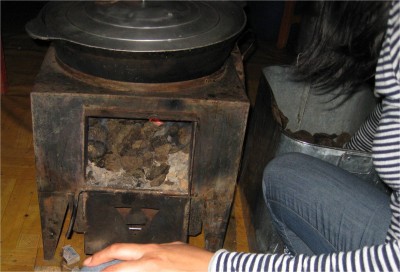 One of the most efficient practices I saw in Mongolia was using cow pies as fireplace fuel. These are free, easy to collect, easy to handle, require no tools, and burn well. Essentially, we are talking about condensed, dried grass.