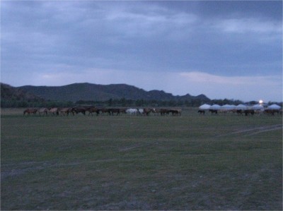 At nightfall, this long stream of horses made its way to the river. I thought for sure that they were being guided by a person, but they were not! It was a magnificent sight to see them all moving along, coordinated, on their own. 