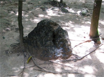 To keep an adequate supply of air in the tunnels, small air holes were created. This porous rock is one of the more inconspicuous air sources.