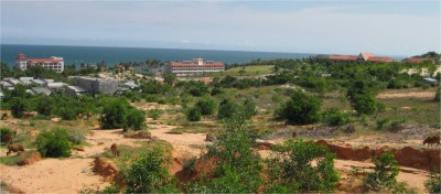 Mui Ne's rapid growth is evident driving towards the coast. It is only a matter of months before these cows are pushed further inland, replaced by hotels and concrete paradise.