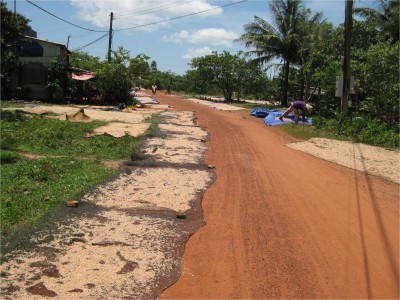 Very often in the rural areas, I'd see roads lined with food and plants being sun dried for processing.