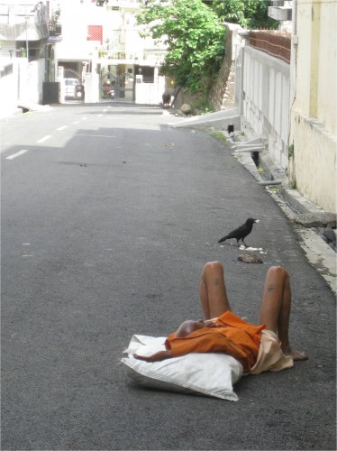 crow rishikesh, India May 2010 Rishikesh, India. One of my favorite pictures! This road was really smooth compared to most, which made it all the better for napping.